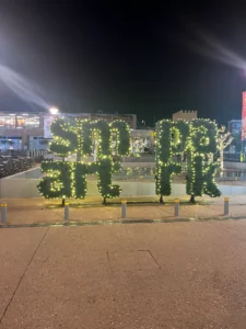smart-park-8